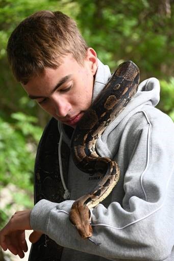 High School Snake